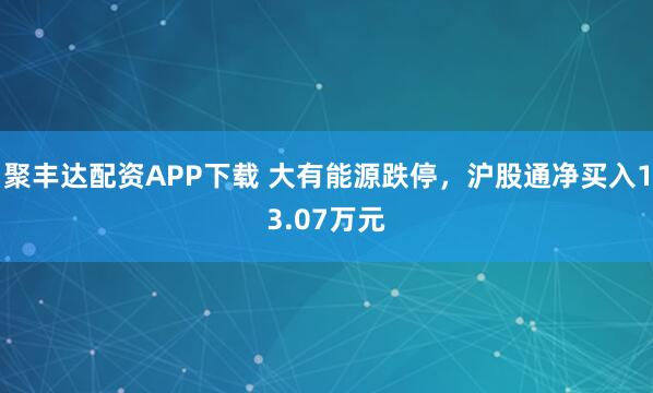 聚丰达配资APP下载 大有能源跌停，沪股通净买入13.07万元