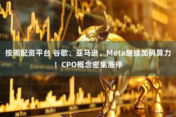 按周配资平台 谷歌、亚马逊、Meta继续加码算力！CPO概念密集涨停