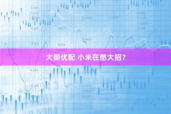 大御优配 小米在憋大招？